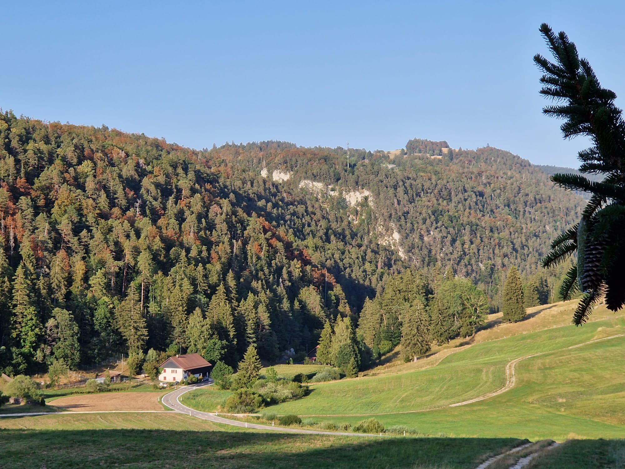 Weite Jura-Landschaft mit Wäldern, Wiesen und einer schmalen Straße